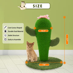AUSCAT flor superior en la cima del cactus, detalle adorable para juego y curiosidad.