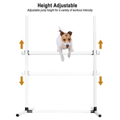 Avoirdus salto con alturas ajustables para progresión en adiestramiento canino.