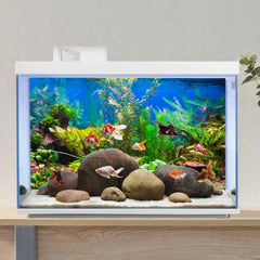 AWERT fondo acuario instalación rápida con cinta EVA: montaje seguro