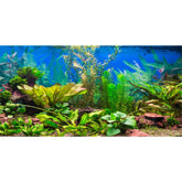 AWERT fondo acuario planta acuática río: realza la profundidad y colores vivos