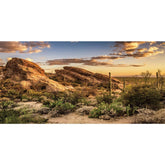 AWERT fondo de hábitat Reptil: cielo azul y cactus para un aspecto natural
