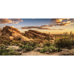 AWERT fondo de hábitat Reptil: cielo azul y cactus para un aspecto natural