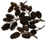 Conos de Alder de Awesome Aquatic estabilizan pH de forma natural.