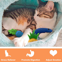 AWOOOF juguete helado de peluche catnip, fomenta juego independiente en casa