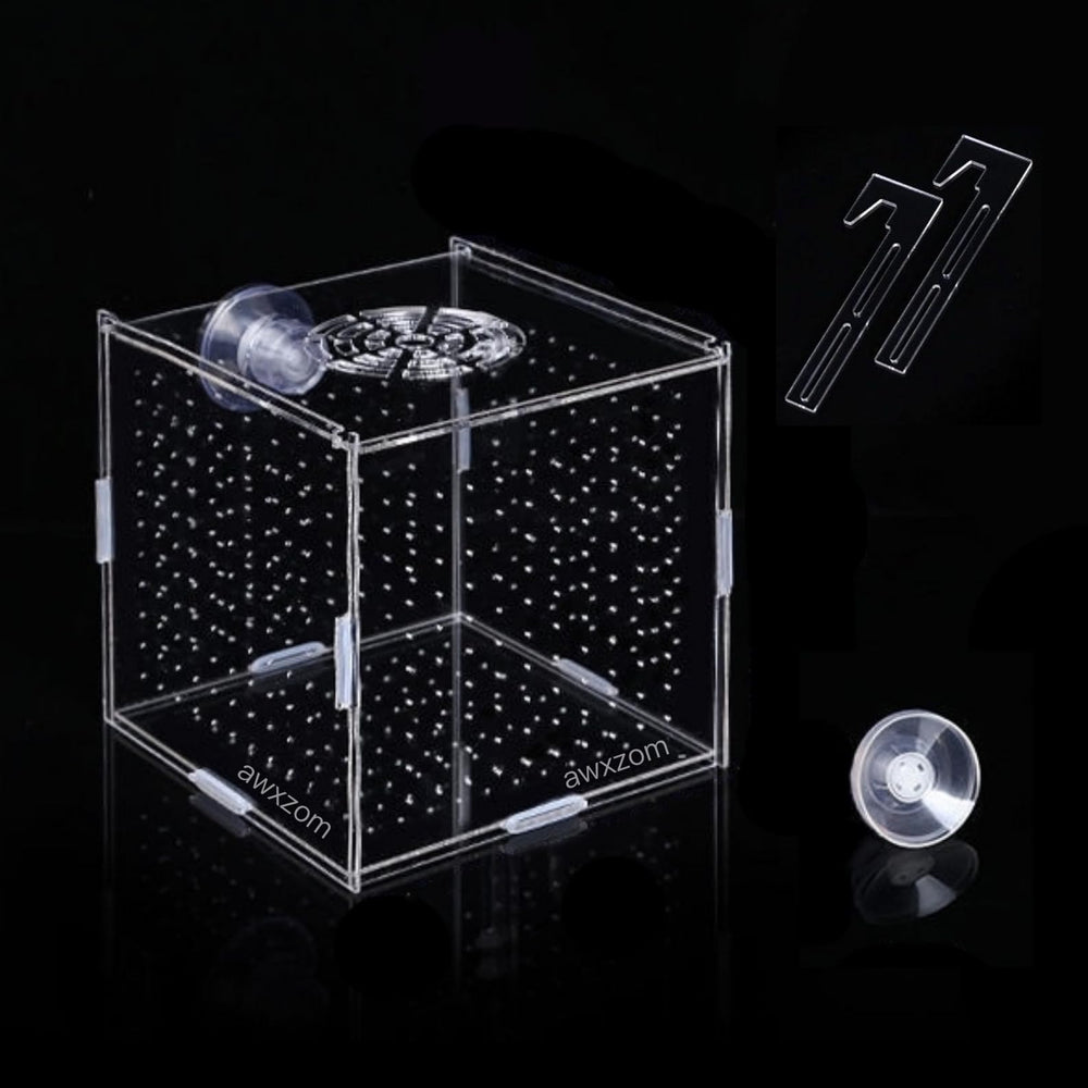 AWXZOM caja cria peces acrílica, diseño claro para observar crías sin estrés