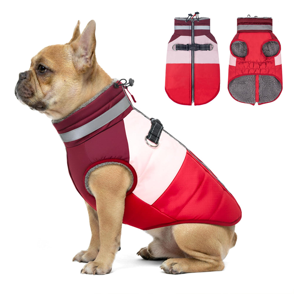Azuza abrigo para perros pequeños, frontal, fácil de vestir para paseos diarios.