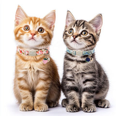 Babole Pet collar suave, gran comodidad para piel sensible durante paseos diarios.