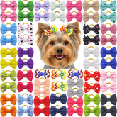 Babymatch: lazo para pelo de perrito 1,5 pulgadas, colores vivos