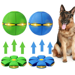 BADWALT disco volador con luz de tres colores para perros al aire libre