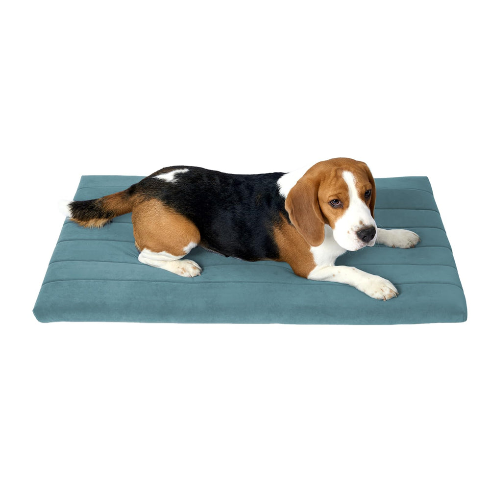 BALANCE cama ortopédica para perro con espuma de alta densidad y soporte