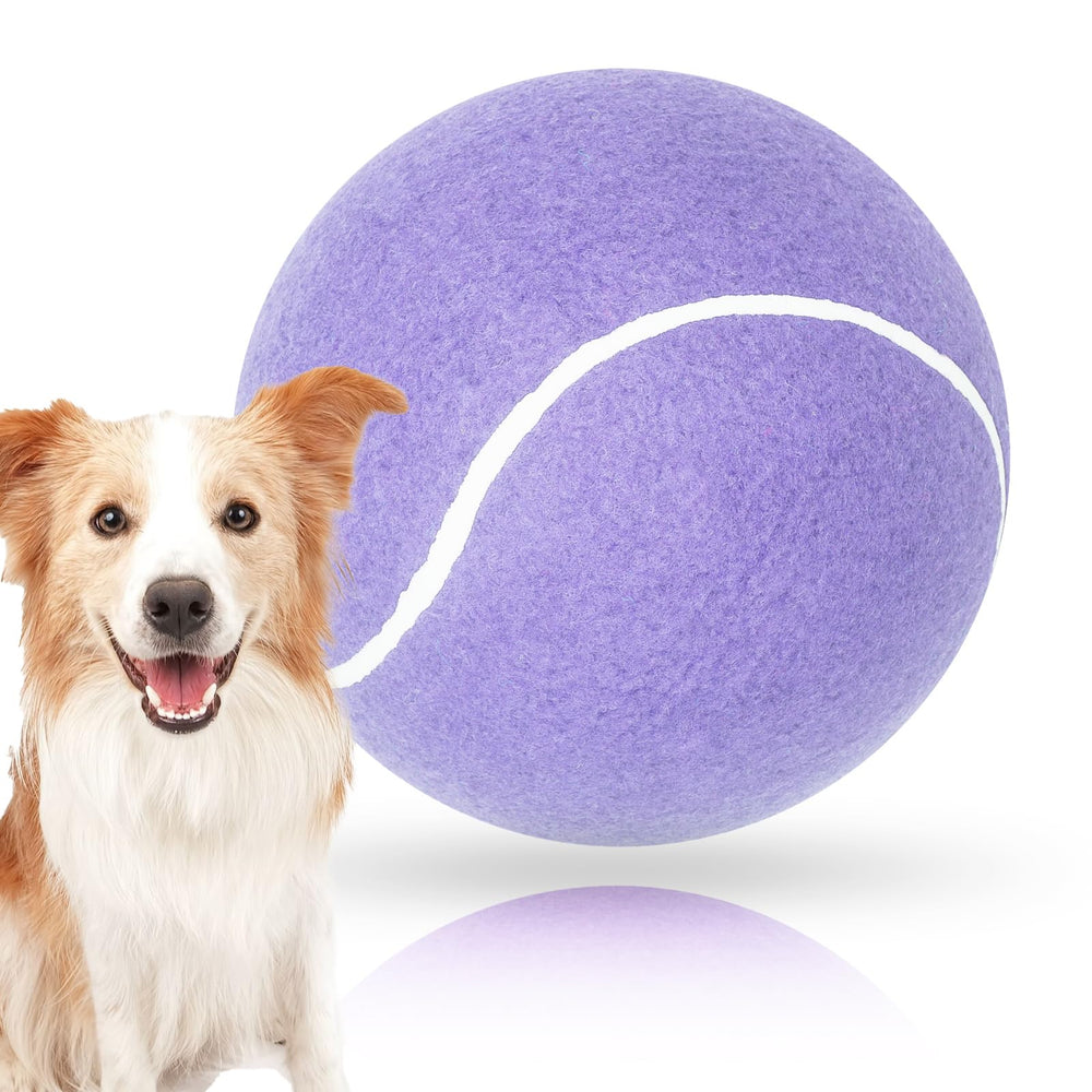 Banfeng Pelota de tenis para perros grande, 9.5 pulgadas, perfecta para juego exterior