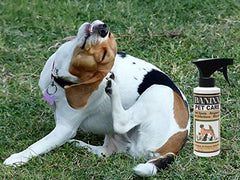 BANIXX sin manchas: cuidado que no deja residuos visibles.