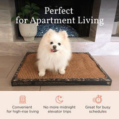 Bark Potty tamaño grande 30x20 para perros pequeños
