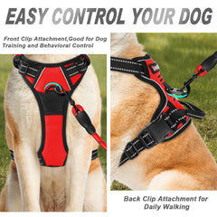 Arnés BARKBAY con doble enganche trasero y pecho para mayor control