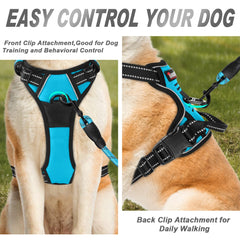 Arnés BARKBAY con dos puntos de sujeción para mayor estabilidad.