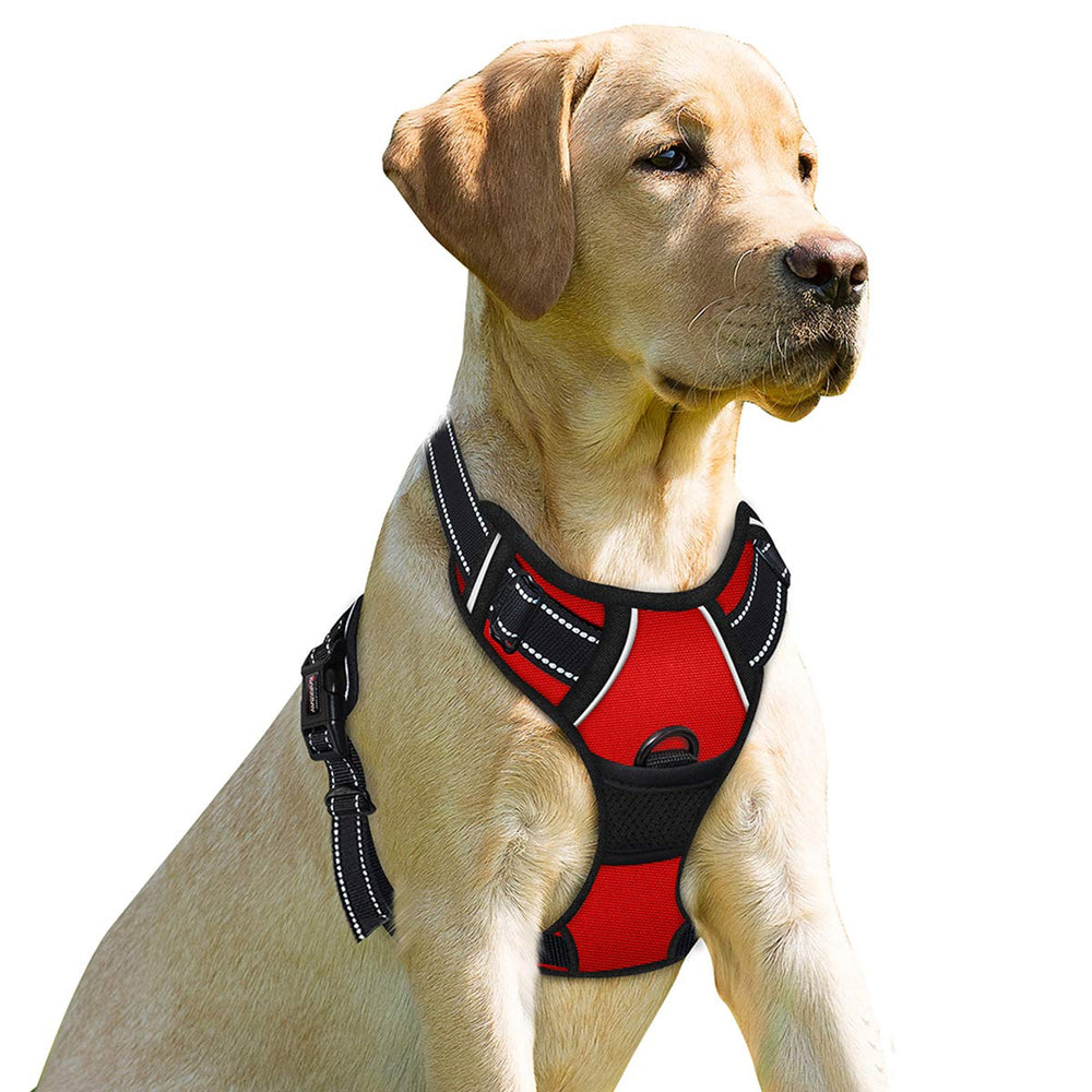 Arnés BarkBay con clip frontal para control suave durante paseos.