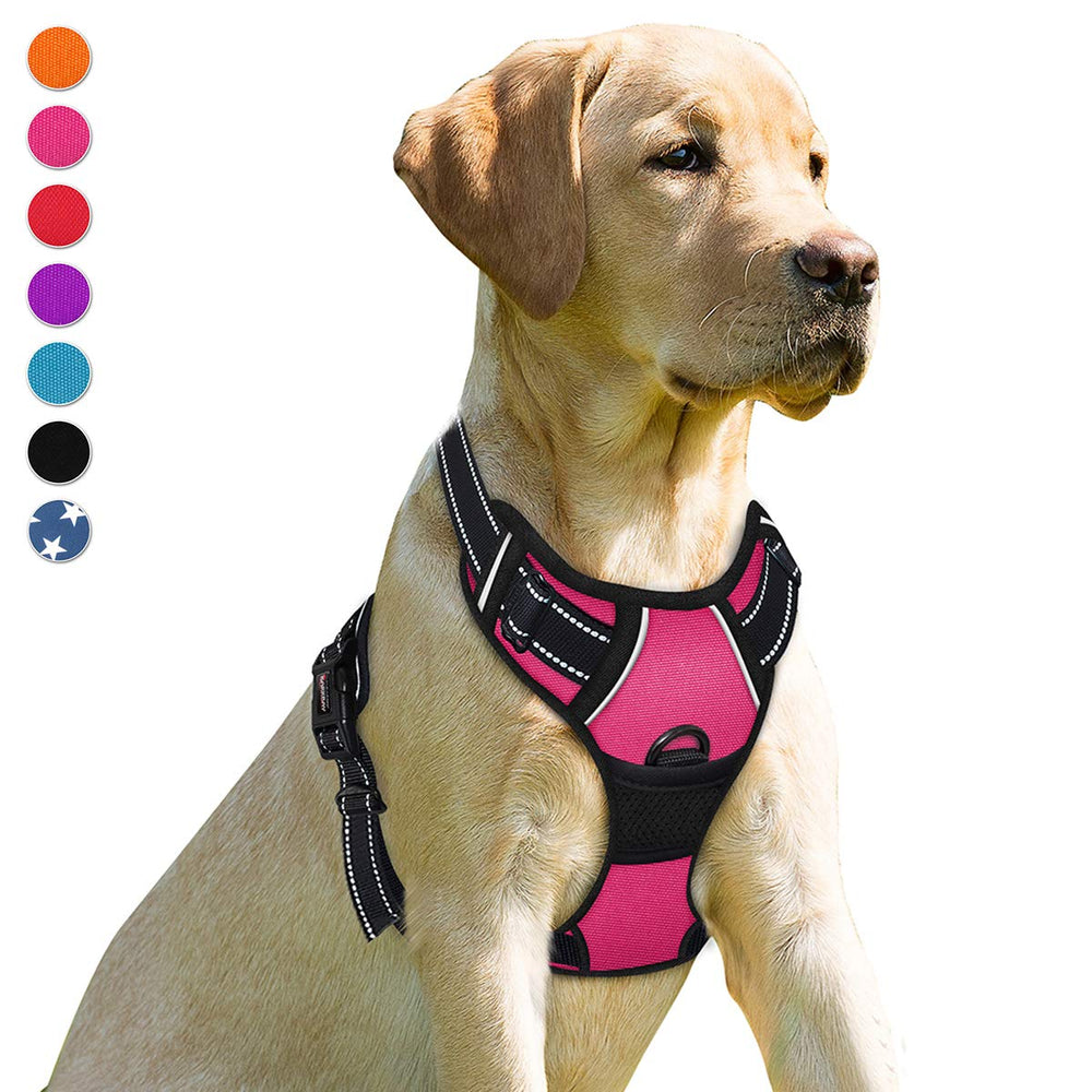 Arnés BARKBAY con clip frontal para control durante paseos nocturnos.