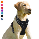 Arnés frontal clip de BARKBAY para un mejor control durante paseos nocturnos.
