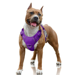 Arnés BarkBay sin tirones con clip delantero para control en paseos.