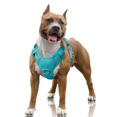 Arnés Barkbay con anilla frontal para entrenamiento y control.