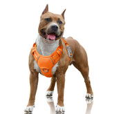 Arnés BarkBay sin tirones con clip frontal para paseos más fáciles y control cómodo