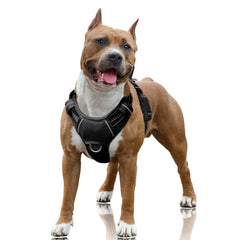 Arnés BarkBay sin tirones con enganche frontal para paseos más controlados.