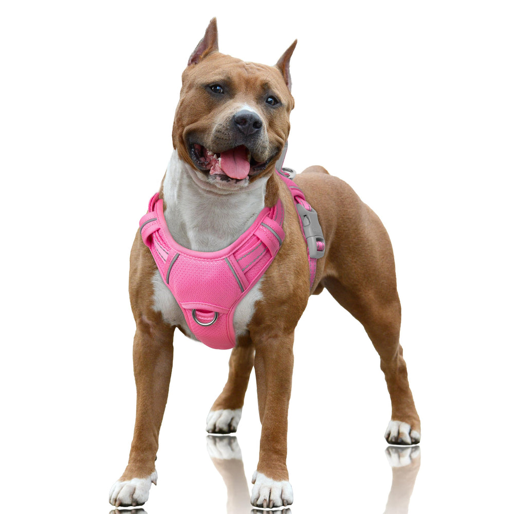BARKBAY arnés sin tirón frontal con gancho para paseos tranquilos y entrenamiento.
