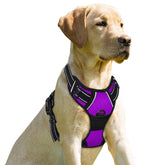 BARKBAY arnés sin tirones con gancho frontal para paseos más controlados