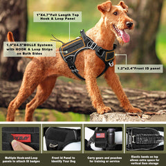 Panel MOLLE Barkbay en arnés para accesorios.