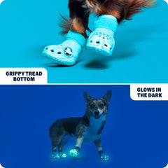 BarkBox Aqua Crocs: diseño transpirable para patas frescas.
