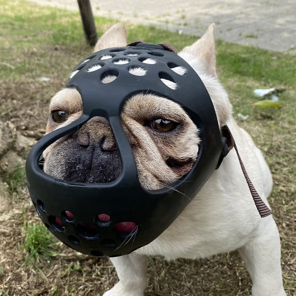 MORDaza Barkless para hocico corto; cómodo y seguro para perros braquicefálicos.