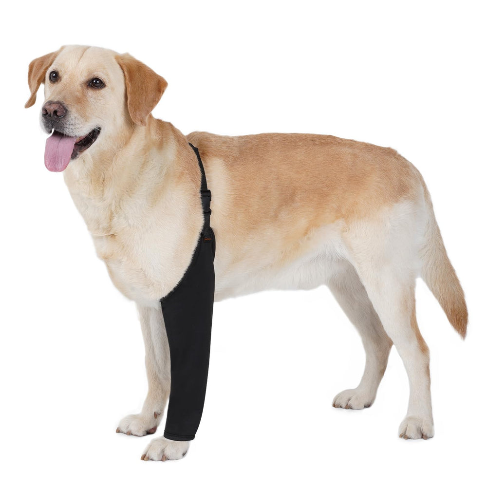 BARKLESS traje recuperación pata delantera protegiendo herida y evitando lamidos