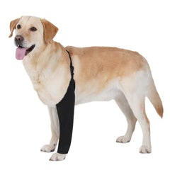 BARKLESS traje recuperación pata delantera protegiendo herida y evitando lamidos