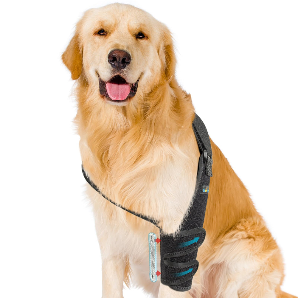 Bawektrl protector codo perro con ajuste seguro para mayor estabilidad.