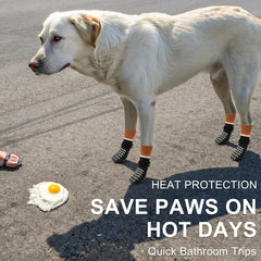 BEAUTYZOO calcetines para perros, tejido elástico y transpirable para comodidad.