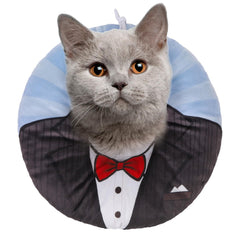 BEAUTYZOO collar-gato-suave-ajuste ofrece comodidad y ajuste seguro para gatos activos.