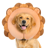 BEAUTYZOO collar inflable dona para perros grandes, evita lamidos de heridas