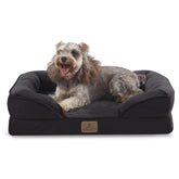 Bedfolks cama para perro ortopédica pequeña negra con soporte estable para articulaciones.