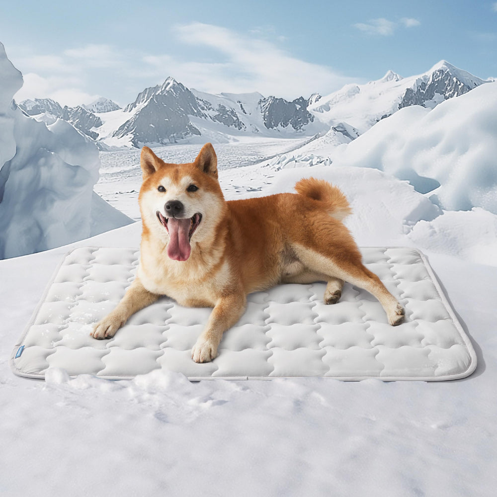 Bedsure almohadilla enfriante para perro grande con alivio inmediato
