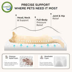 Bedsure cama para perro mediana, primer plano de espuma ortopédica de celdas huevo