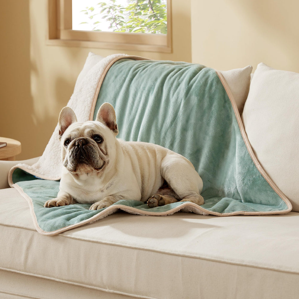 Bedsure manta impermeable con sherpa, ideal para perro mediano y sofá protegido.