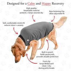 BellyGuard diseno facil de usar postoperatorio para perro, practica durante revisiones