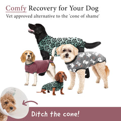 BellyGuard ofrece confort y protección postoperatoria para perros
