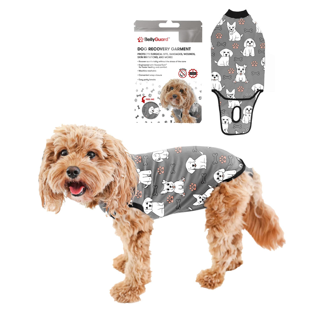 BellyGuard mono de recuperación para perro visto de frente, cómodo para el postoperatorio.