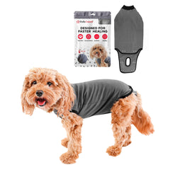 BellyGuard mono de recuperación para perro, visto de frente, cómodo para uso diario.