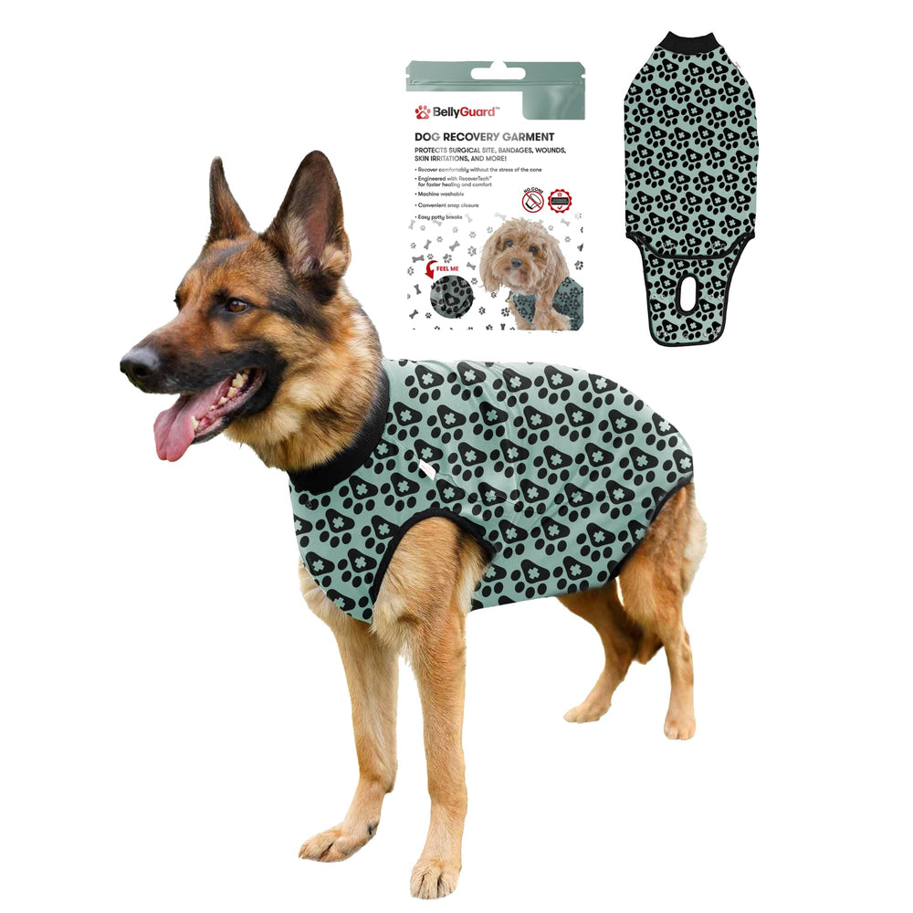 BellyGuard traje de recuperacion cubre la parte frontal del perro y protege suturas