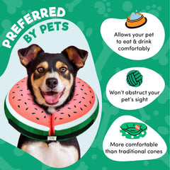 BENCMATE cono inflable para perro, comodidad y protección suave para la zona tratada.