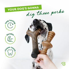 Benebone Maplestick agarrar fácil arce para entrenamiento mental