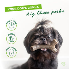 Maplestick muestra forma de agarre fácil para perros activos.