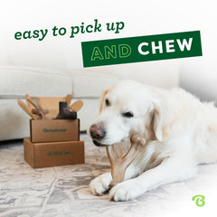 Benebone mordedores para perros agresivos: diseñados para mordidas intensas.